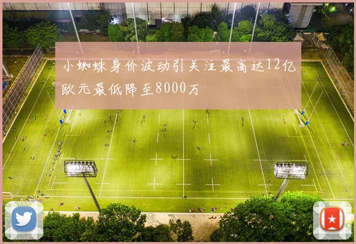 小蜘蛛身价波动引关注最高达12亿欧元最低降至8000万