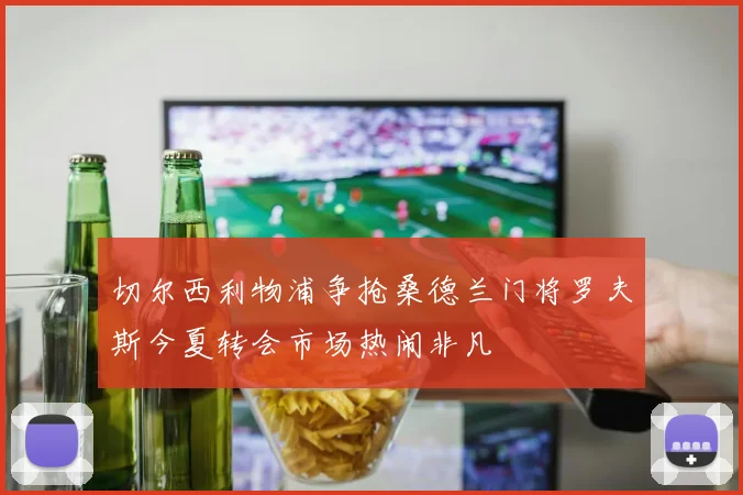 切尔西利物浦争抢桑德兰门将罗夫斯今夏转会市场热闹非凡