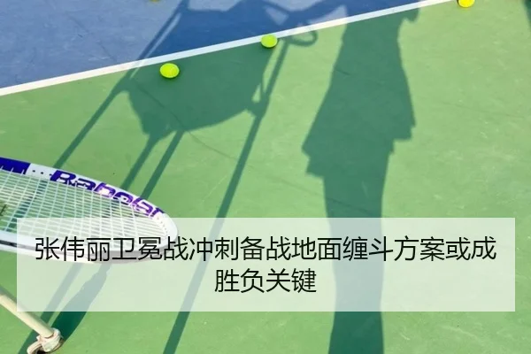 张伟丽卫冕战冲刺备战地面缠斗方案或成胜负关键
